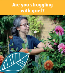 A person with grey hair and glasses tending to a colourful garden filled with pink and orange flowers.
