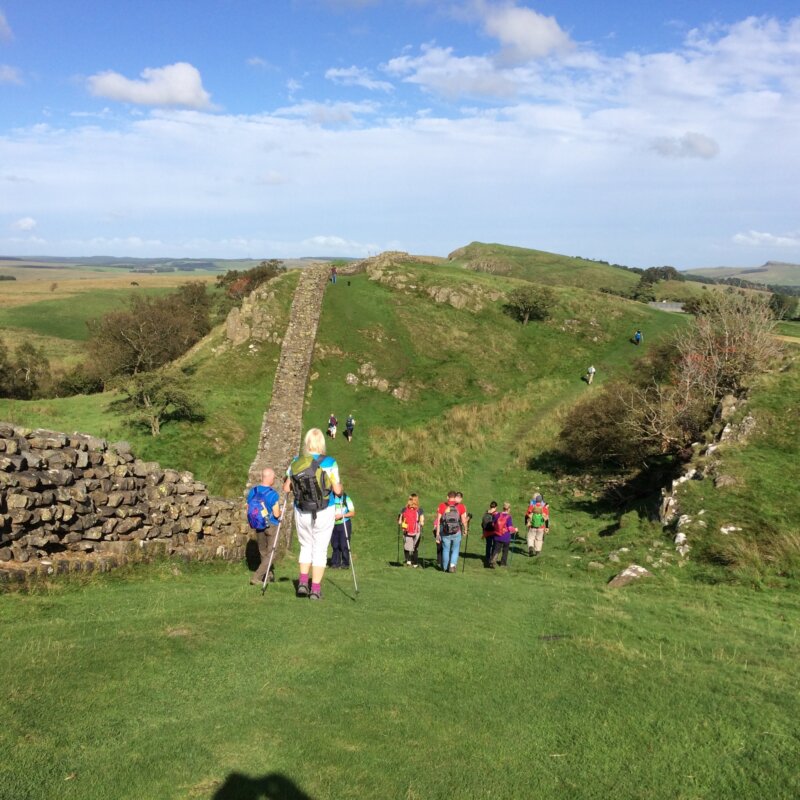 A team of people hiking up a steep hill, surrounded by lush greenery and bright sunlight.