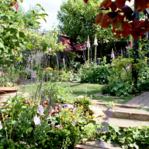 A wide view of a garden in Springfield showing a path, patio and flowers