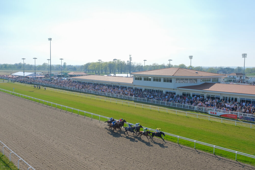 A wide view of Chelmsford Race Course with horses in the foreground