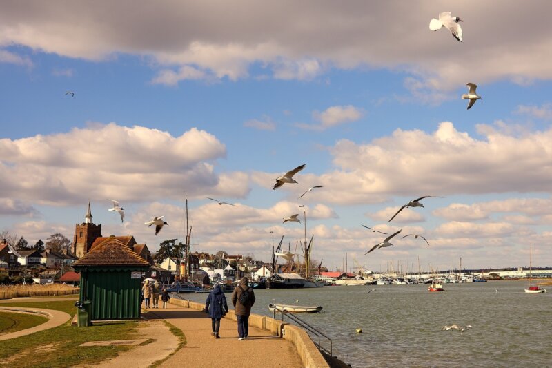 A walk‑and‑talk group strolling along a waterfront promenade, with seagulls overhead, a small green hut and church steeple to the left, and boats moored in a marina to the right.