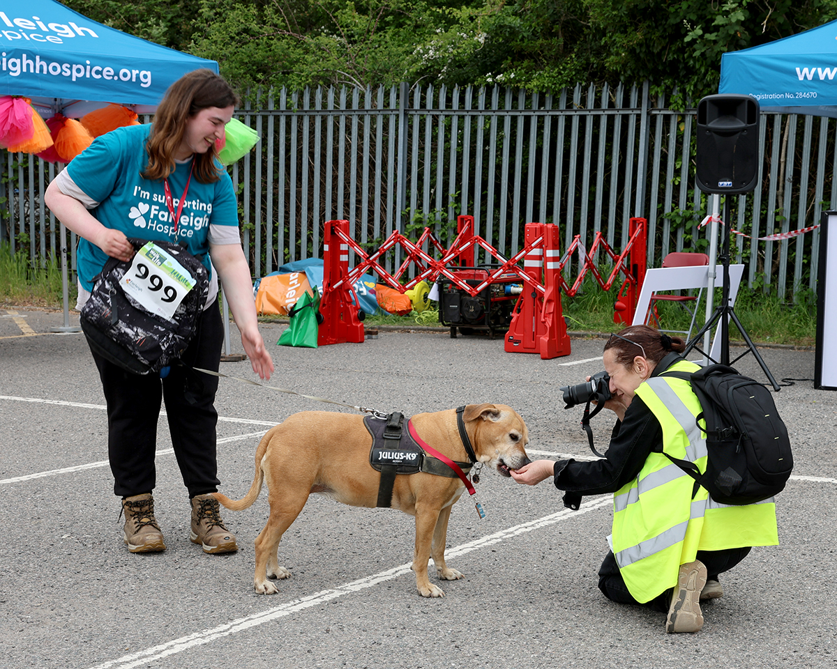 Farleigh Hospice volunteer Karen Mercer crouching to photograph a dog at the Walk for Life event.