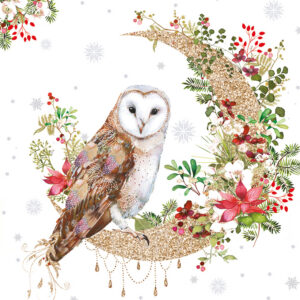 Glistening Owl Christmas Cards