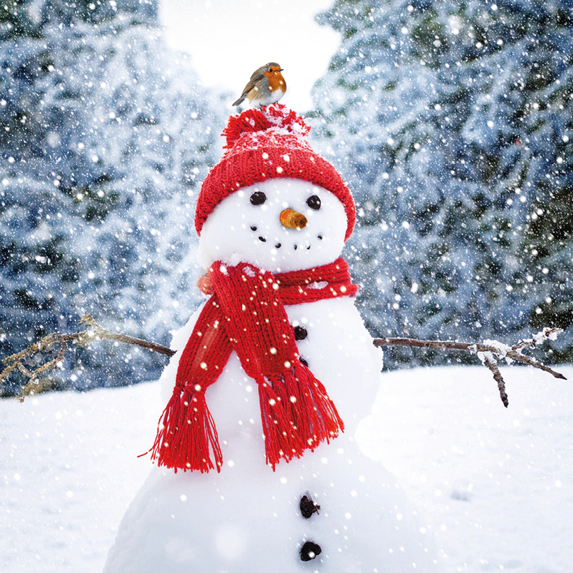 Chirpy Snowman Christmas Cards