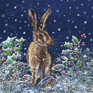 Hare Night Sky Christmas Cards