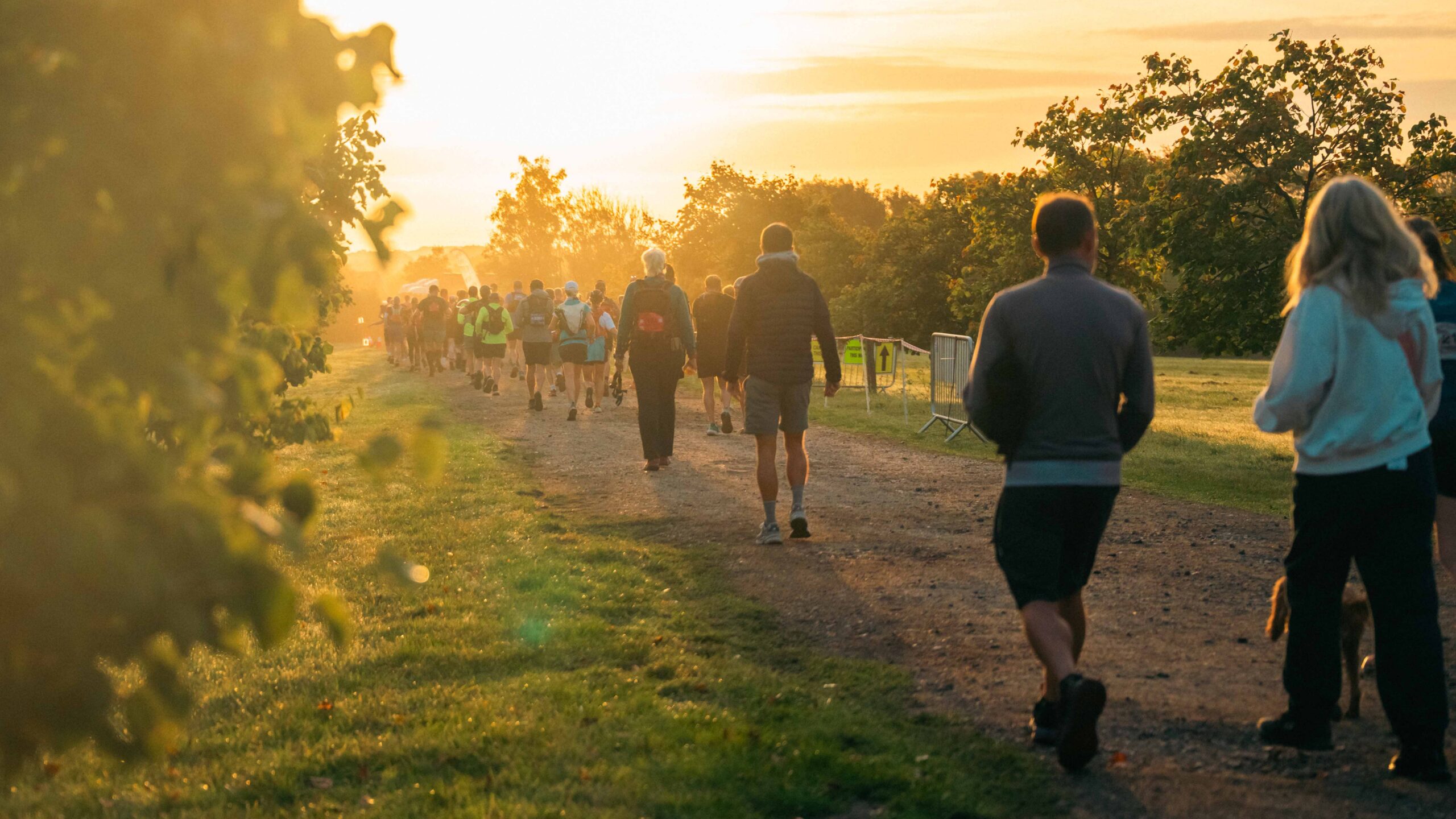 Runners jog along a sunlit park trail at sunset, surrounded by trees and warm golden light, creating an energetic, peaceful atmosphere.