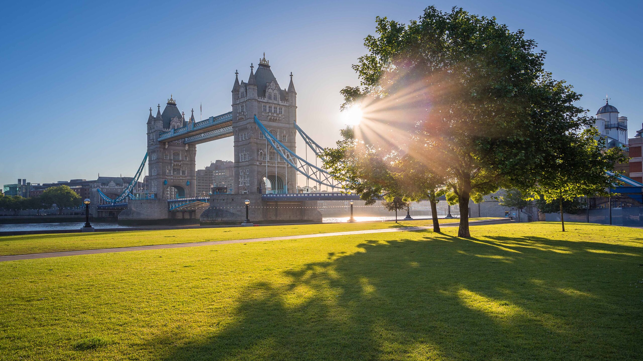 Sunlit Tower Bridge spans the River Thames in London, framed by leafy trees and a broad green lawn, creating a bright, peaceful scene.