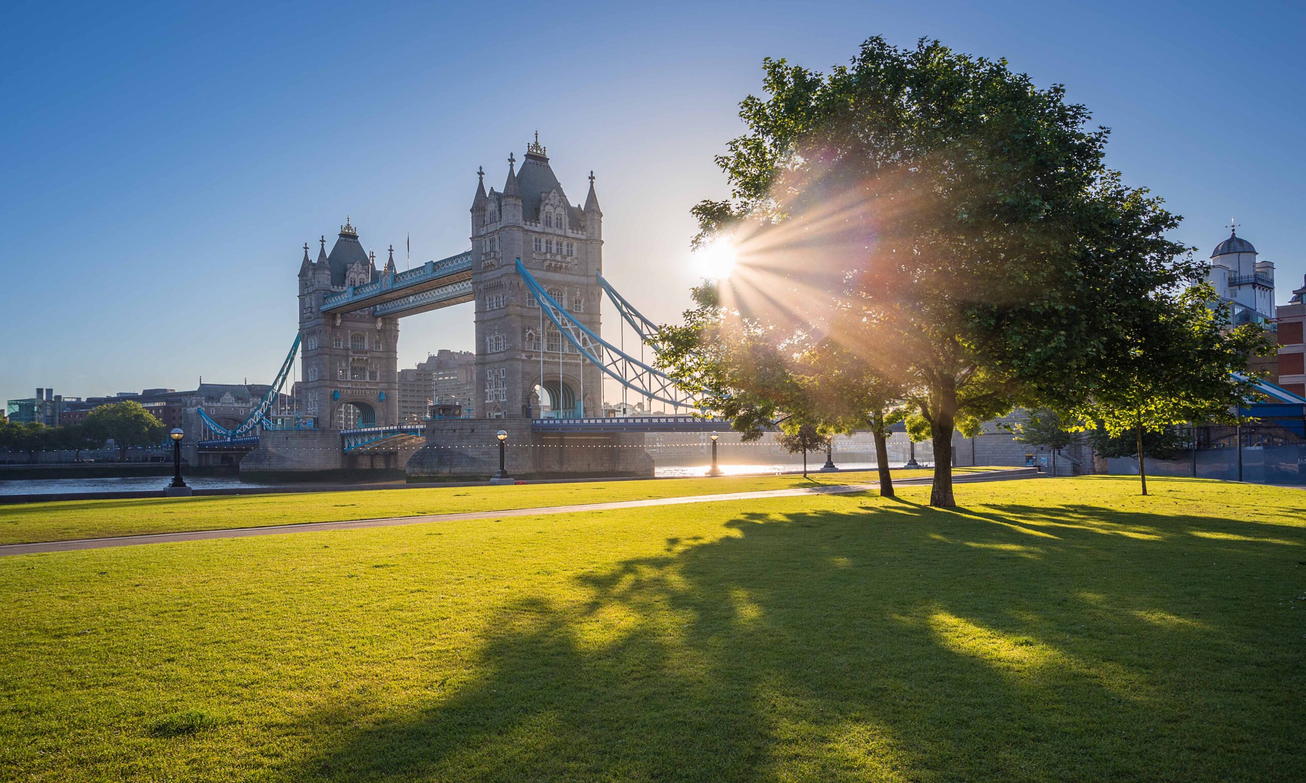 Sunlit Tower Bridge spans the River Thames in London, framed by leafy trees and a broad green lawn, creating a bright, peaceful scene.