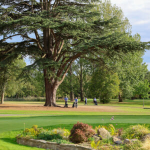 Braintree Golf Day 2027